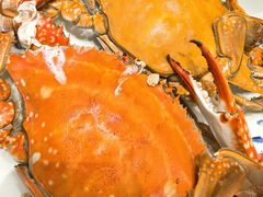 -北塘海鲜·天津菜(大光明桥旗舰店)