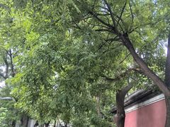 -锅儿挑面馆