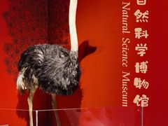 -正佳自然科学博物馆