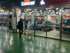 -龙膜全球臻选店·汽车贴膜·隐形车衣