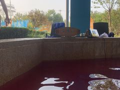 -南宫温泉水世界