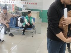 -利又安动物医院··老年病·猫科犬科·中兽医