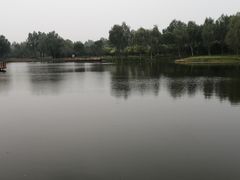 -东郊湿地公园