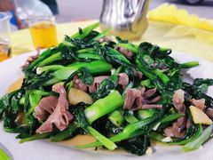 -海鸥岛河景湖大排档