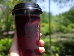 -炖物24章·顺时轻养茶(杭州大厦店)