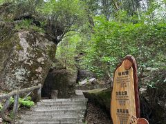 -汤旺河林海奇石景区