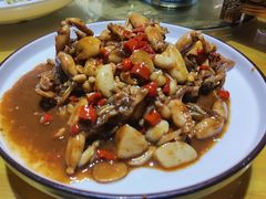 -国庆鱼头鱼尾馆(盛世华庭店)