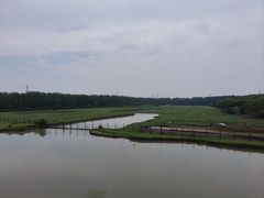 -溱湖国家湿地公园