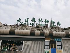 -大连森林动物园