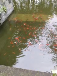 点击看大图 -莲生母婴月子中心(清水河公园店)