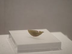 -四川宋瓷博物馆