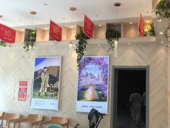 点击看大图 -爱儿美儿童摄影(奥森公园店)