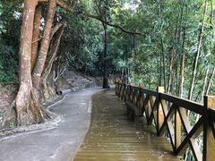 -广州市流溪河国家森林公园