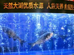 -潇湘码头·鲜湘菜(清河店)