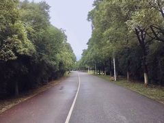 -艾溪湖湿地公园