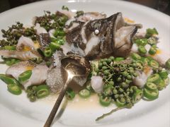 青青椒麻龙胆鱼-CHIC1699远洋私厨