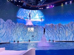 -珠海长隆海洋王国