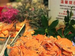 -雅枫国际酒店—枫叶自助餐(福田店)