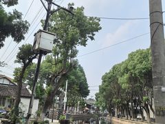 -练塘古镇