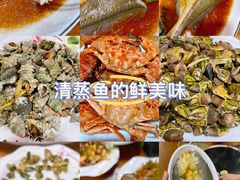 -南麂列岛