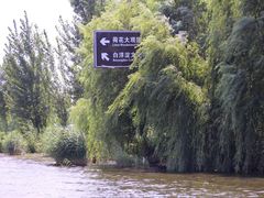 -白洋淀景区