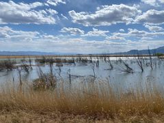 -野鸭湖国家湿地公园