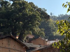 -杨家堂村