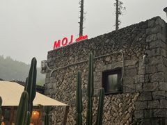 -MOJ coffee(瓯海泽雅水碓坑店)