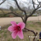 草长莺飞好时光