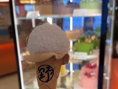 -野人先生现做冰淇淋(北京王府井东方新天地店)