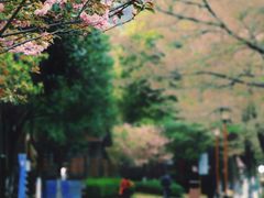 -穹窿山景区