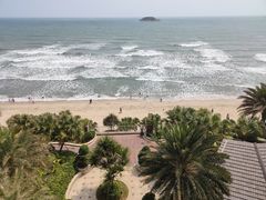 -广东惠东海龟国家级自然保护区