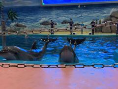 -福州罗源湾海洋世界旅游区