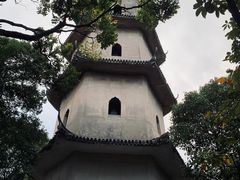-江心屿景区