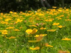 -紫竹院公园-东门停车场