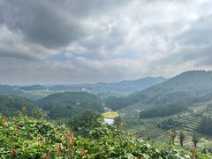 -乌石村