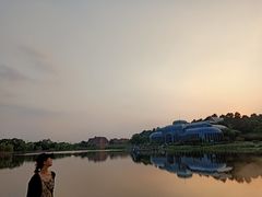 -大塘金香草谷