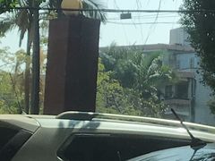 -姚林轩