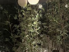 -沙龙宴(夷陵广场店)