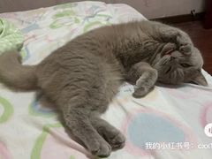 -DQ·蛋糕·冰淇淋(包河万达店)