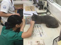 -芭比堂动物医院(广州爱宠下渡路分院)