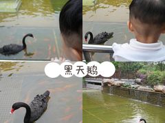 -南宁荔园维景国际酒店·荔园中餐厅