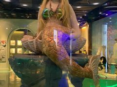 -成都泰迪熊博物馆