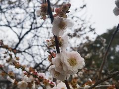 -无锡梅园公园