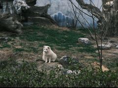 -杭州野生动物世界