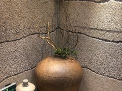 -小城粥道·海胆鲜虾粥(解放广场店)