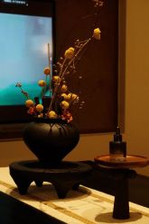 -禾美科技美肤·芳香疗愈SPA联合会所