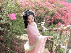 -木兰云雾山