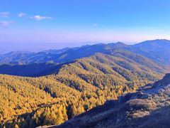 -苏木山森林公园