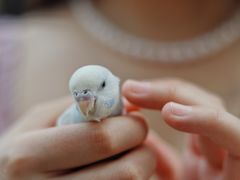 -红星桥(地铁站)